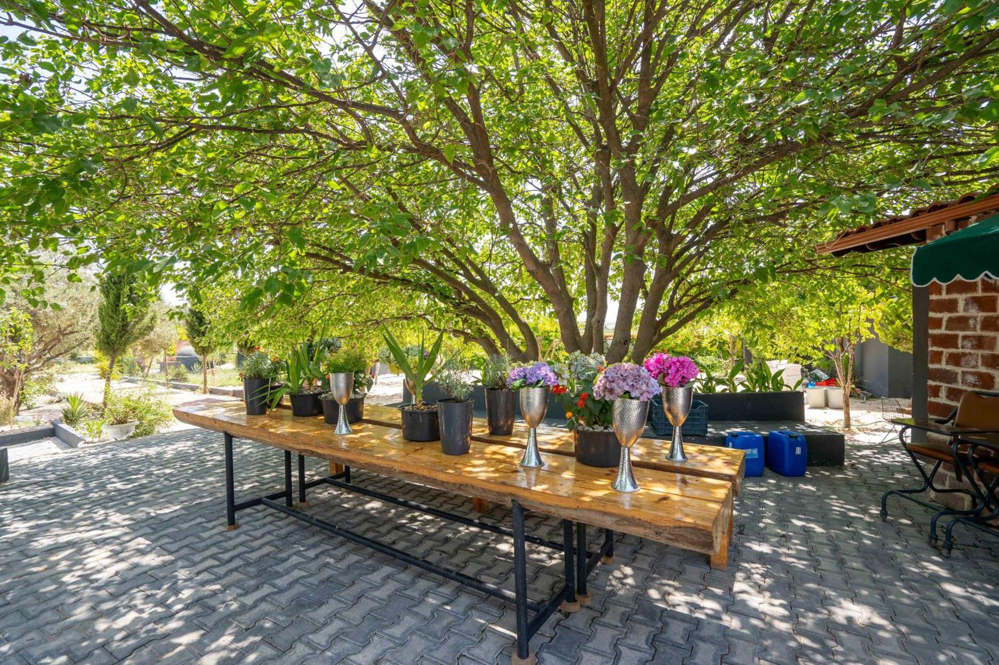 Simlarda Country Club Ayvalik Villa Luaran gambar